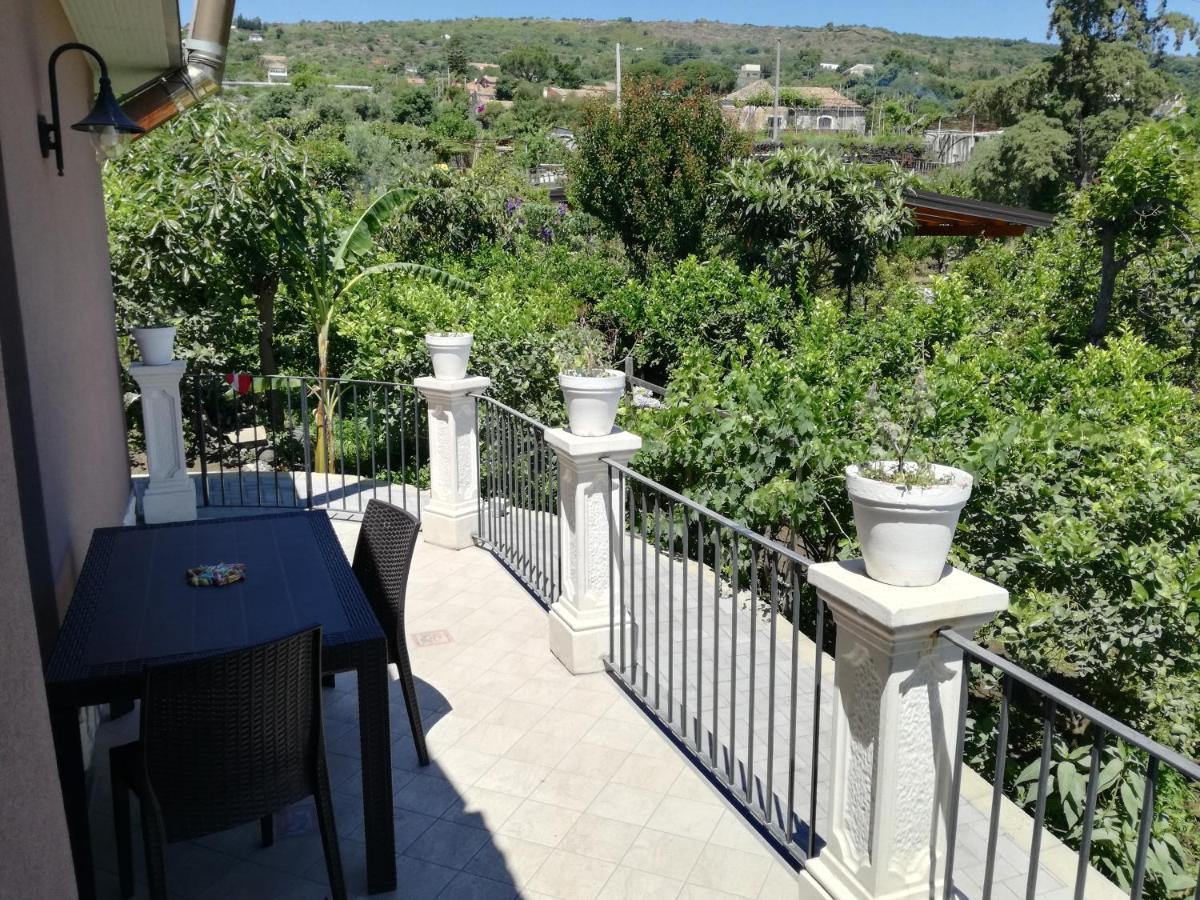 Il Limoneto Di Leo Villa มาสคาลิ ภายนอก รูปภาพ