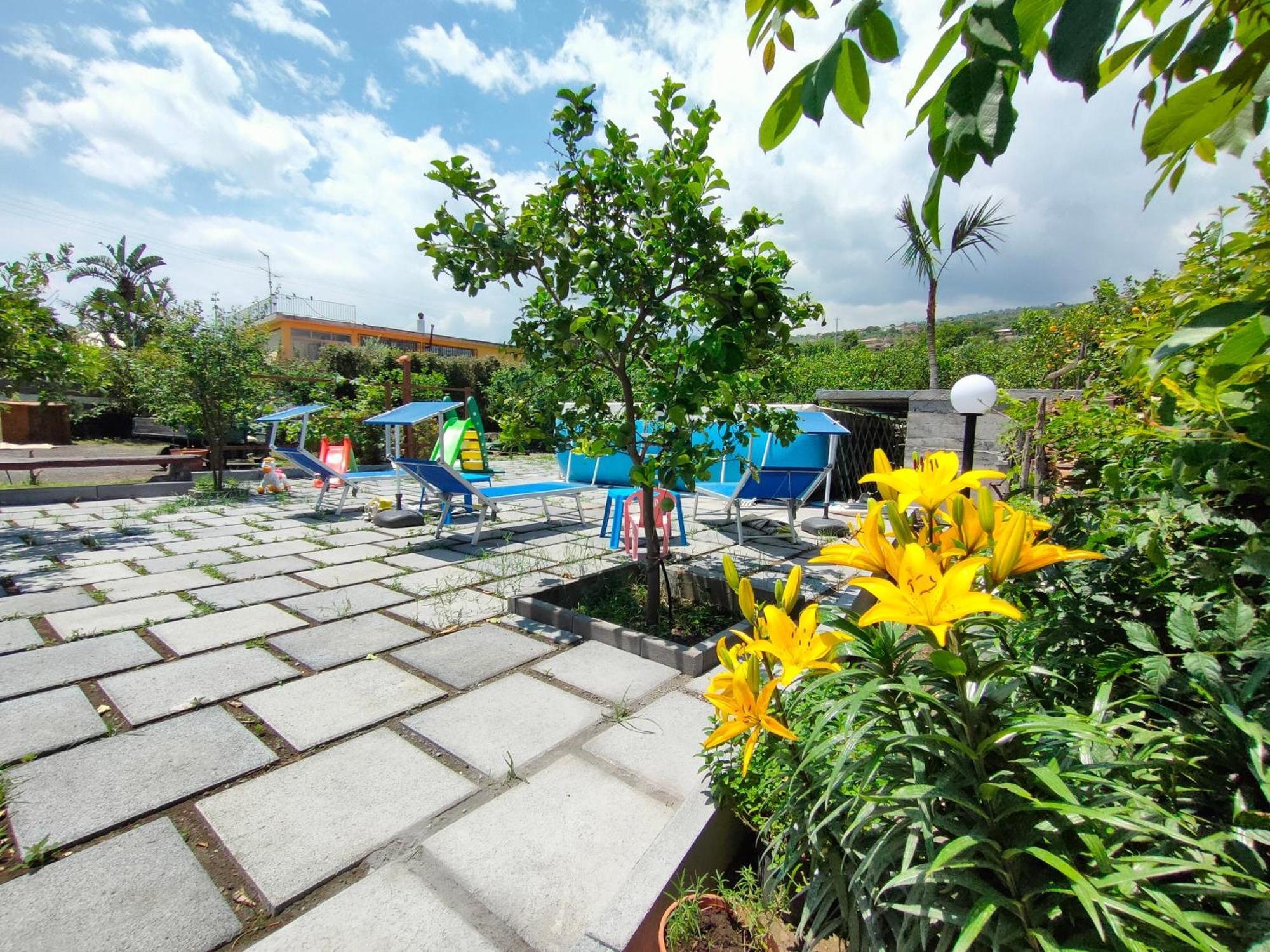 Il Limoneto Di Leo Villa มาสคาลิ ภายนอก รูปภาพ