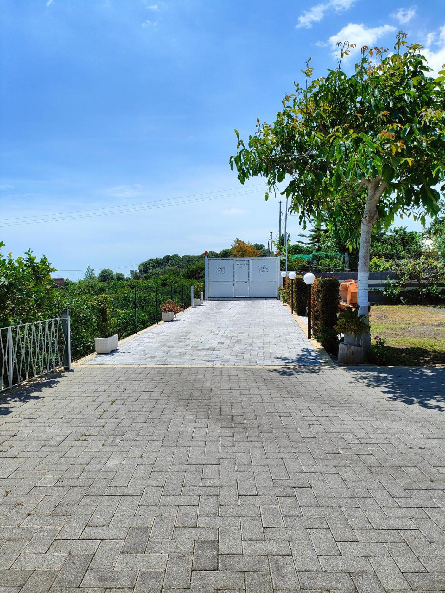 Il Limoneto Di Leo Villa มาสคาลิ ภายนอก รูปภาพ
