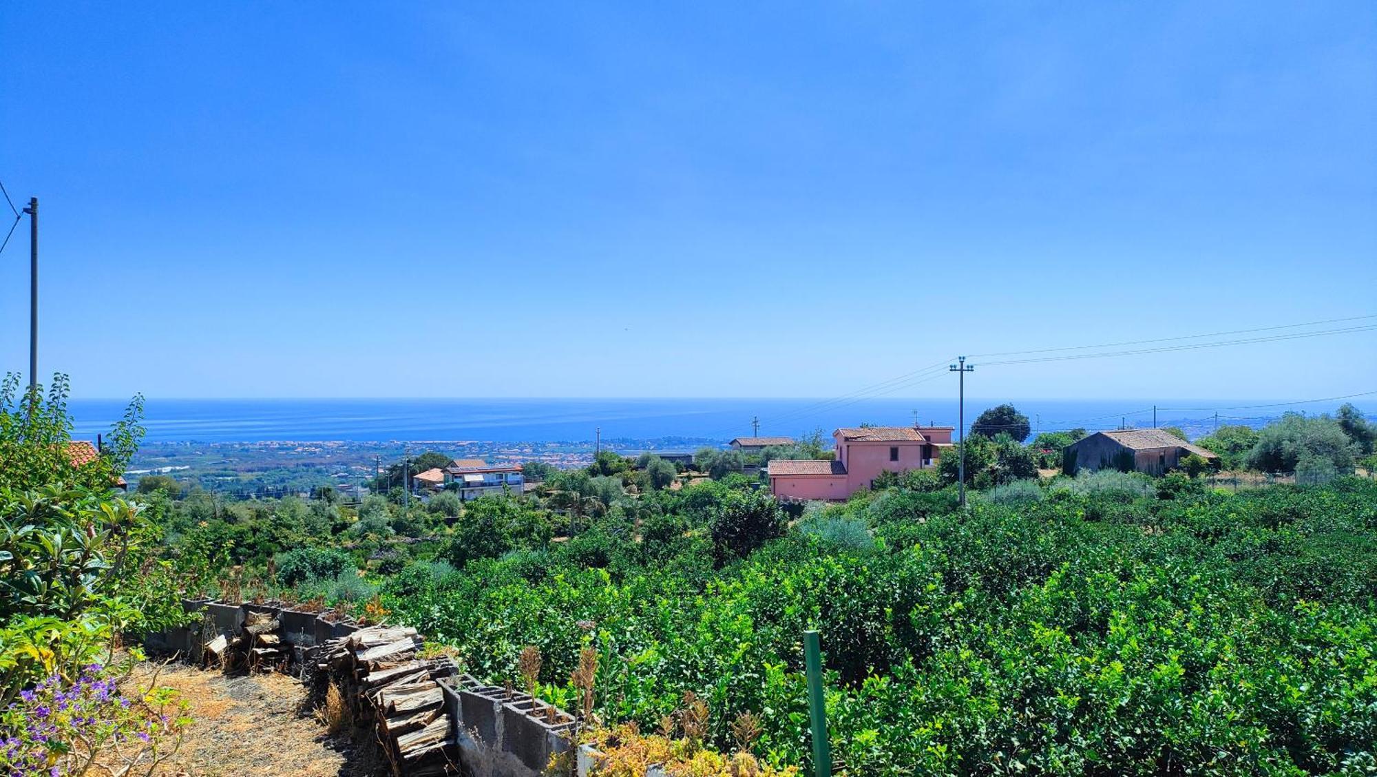 Il Limoneto Di Leo Villa มาสคาลิ ภายนอก รูปภาพ